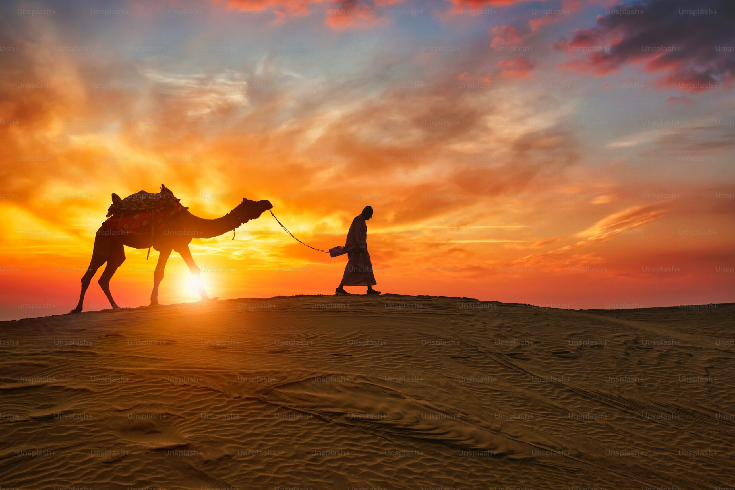 Rajasthan 